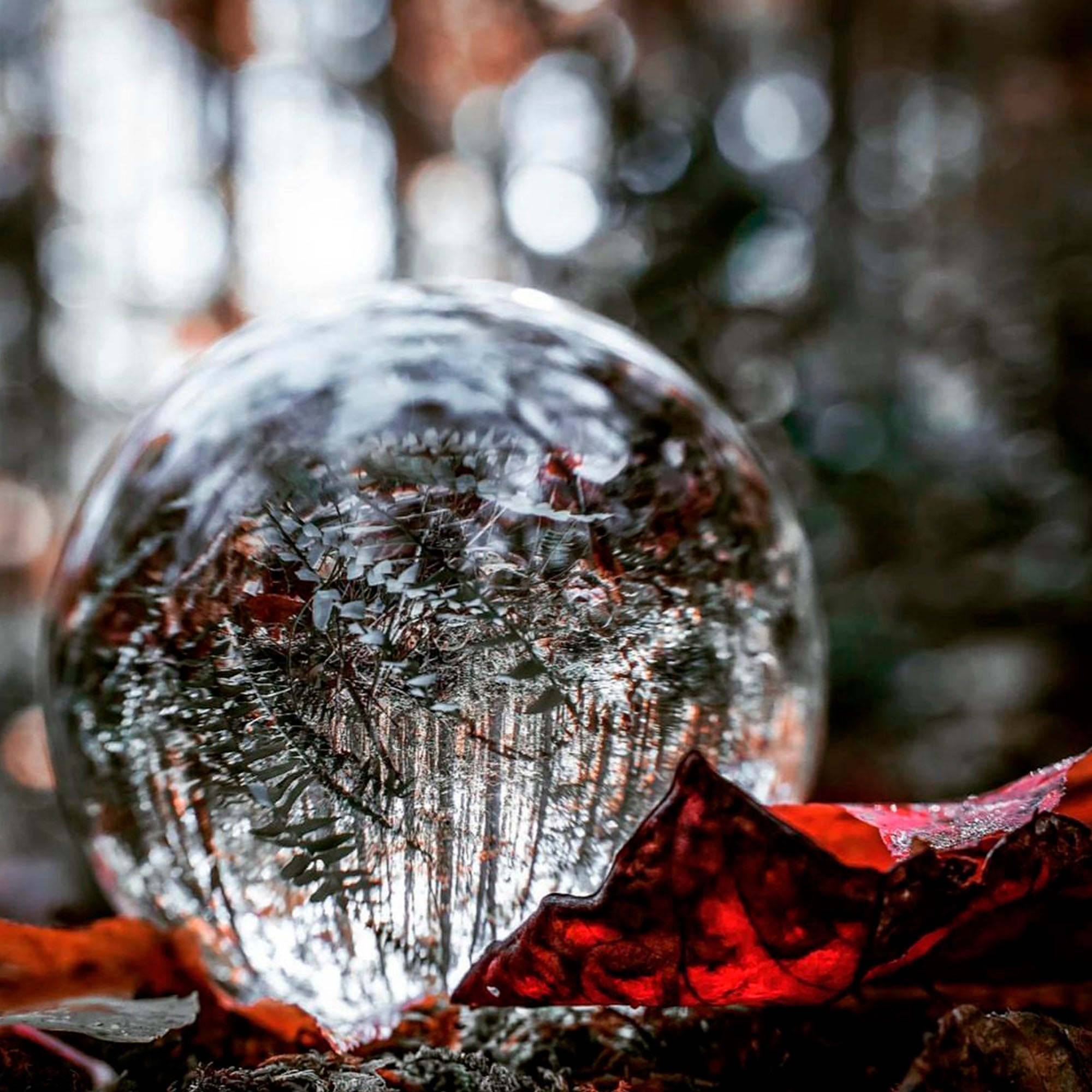 Lensball: la sfera magica per le tue foto